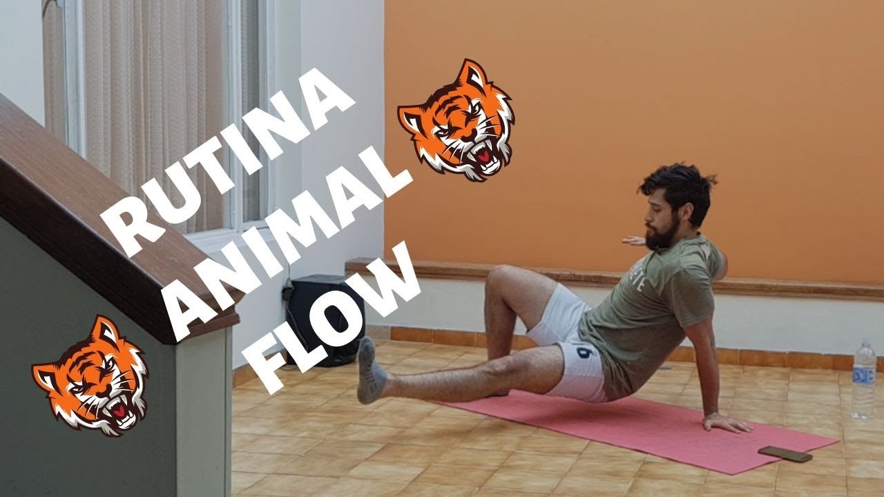 Animal Flow ¿Qué es?. Rutina de ejercicios para principiantes