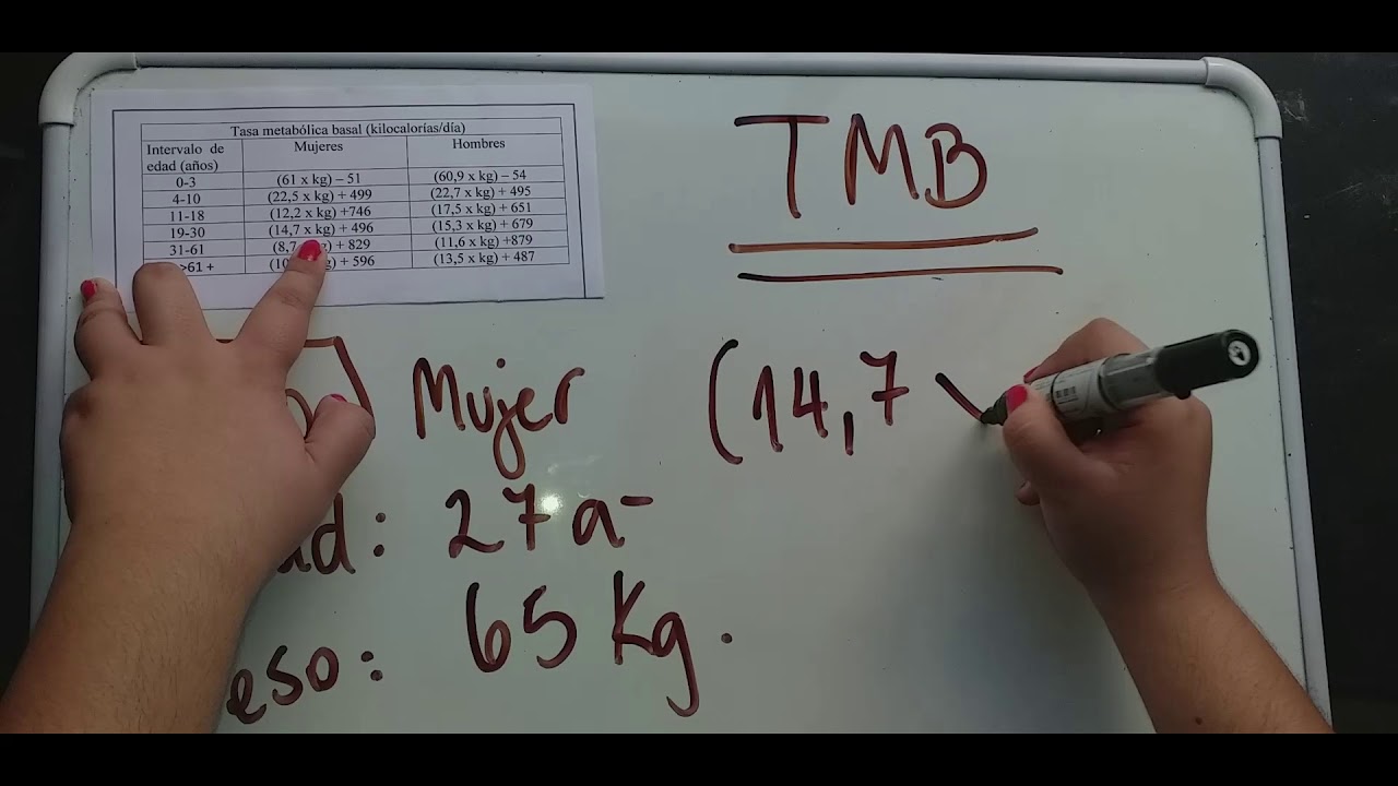 Qué es y cómo calcular la Tasa Metabólica Basal (TMB) 